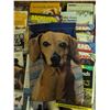 Image 3 : Dachshund Book Collection and Fabric Banner Lot