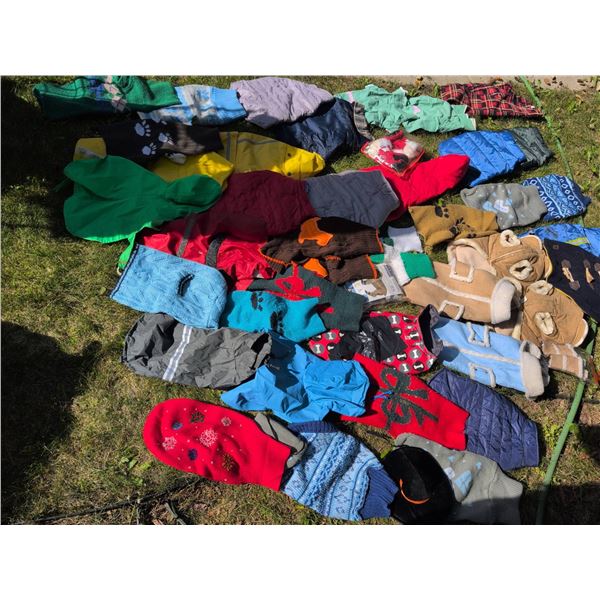 Dog Sweaters and Jackets Collection