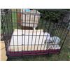 Image 4 : Midwest Life Stages Dog Crate, Dual Bowl Set, and Blankets