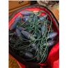 Image 2 : Holiday Lights, Power Strips, and Extension Cords Lot