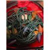 Image 5 : Holiday Lights, Power Strips, and Extension Cords Lot