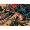 Image 6 : Holiday Lights, Power Strips, and Extension Cords Lot