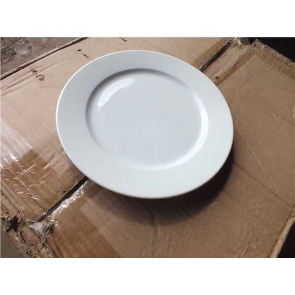 1 Case Of 8" Side Plates