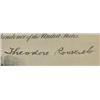 Image 2 : Theodore Roosevelt