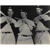 Image 1 : DiMaggio, Mantle, and Williams