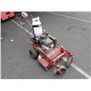 Image 2 : LAWN MOWER