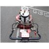 Image 6 : LAWN MOWER
