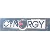 Image 6 : Cynergy Cargo Enclosed Utility Trailer with Single Axle