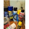 Image 5 : Automotive and Household Aerosol Sprays and Cleaners