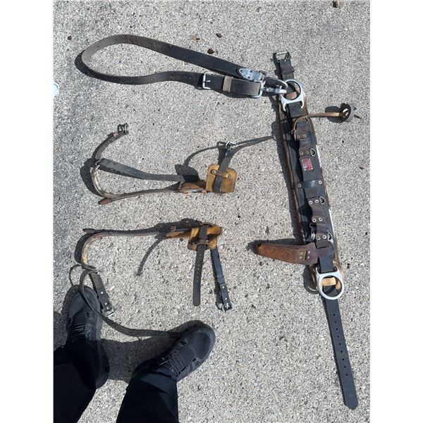 Jelco Lineman's Safety Belt and Climbing Spikes Set