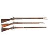 Image 1 : Three Black Powder Muskets -A) English Percussion Musket  B) U.S. Model 1861 Percussion Musket  C) U