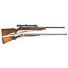 Image 1 : One Rifle and One Shotgun -A) Winchester Model 75 Target Bolt Action Rifle  B) LC Smith Side by Side
