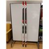 Image 1 : ROSIGNOL VENTURE X-TOUR 196 SKIS *USAGÉ*