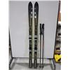 Image 1 : *USAGÉ* ROSSINGNOL SKIS ALPINS 66" AVEC FIXATIONS ET BÂTONS