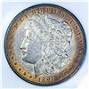 Image 3 : 1891-CC Morgan Silver Dollar PCI MS65