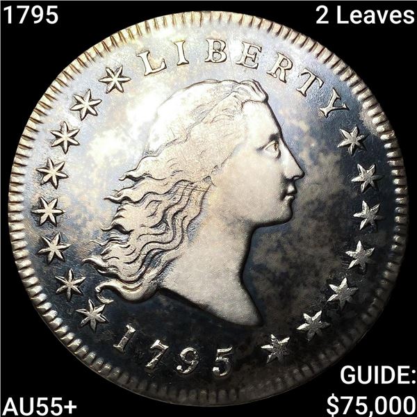 1795 2 Leaves Flowing Hair Dollar HIGH GRADE+
