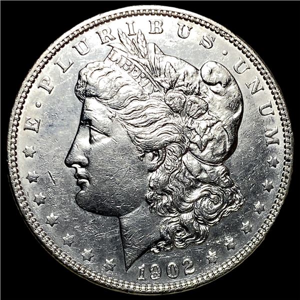 1902 Morgan Silver Dollar CHOICE AU