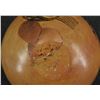 Image 6 : HOPI BOWL (EMILY KOMALESTEWA)