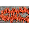 Image 5 : PUEBLO CORAL NECKLACE