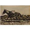 Image 6 : WESTERN SEPIA-TONE PRINTS (RUSSELL R. WATERHOUSE)