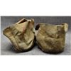 Image 4 : PLAINS MOCCASINS
