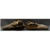 Image 5 : PLAINS MOCCASINS