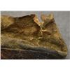 Image 9 : PLAINS MOCCASINS