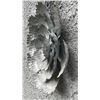 Image 4 : Group of 2 Large Galvanized Metal Layered Floral Hanging Wall / Garden Art Sculpture