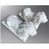 Image 3 : Pair of Carved White Marble Recumbent Guardian Lion Garden Statues (2 Pcs)