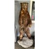 Image 6 : Full-Mount Standing Brown Bear Taxidermy on Faux Stone Base (90"H)