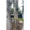 Image 5 : Large Stylized Giraffe Estate Garden Statue Sculpture (135in H)