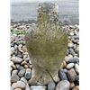 Image 4 : Carved Grey Speckled Granite Stylized Perched Falcon / Bird of Prey Garden Statue Sculpture (Approx.