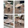 Image 1 : Group of 4 Mushroom Statue