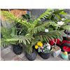 Image 1 : Large Group of Faux Plants