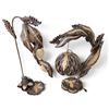 Image 1 : Group of 2 Wooden Decor Lamps