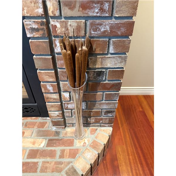 Bull rushes in case