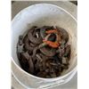 Image 1 : BIN OF SHACKLES