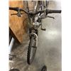 Image 3 : ROADMASTER MOUNTAIN BIKE