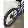Image 5 : BLUE RAMBLER BIKE
