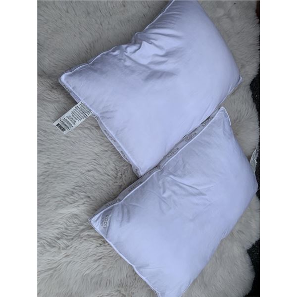 TWO AS NEW PILLOWS ROOTS BRAND