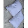 Image 1 : TWO AS NEW PILLOWS ROOTS BRAND
