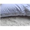 Image 2 : TWO AS NEW PILLOWS ROOTS BRAND