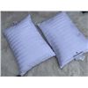 Image 1 : TWO AS NEW PILLOWS BEAUTYREST BRAND