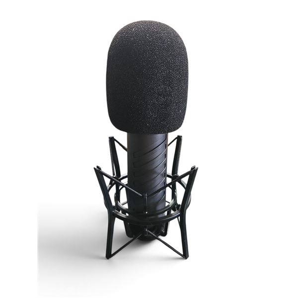 Rode Procaster Broadcast Dynamic Vocal Microphone RV: $330 w/Stand