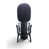 Image 1 : Rode Procaster Broadcast Dynamic Vocal Microphone RV: $330 w/Stand