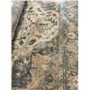 Image 6 : Large Movie Set Carpet (Approx. 107x142)