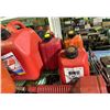 Image 4 : Group of Various Gas Cans