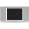 Image 3 : BNIB - Fulgor 36" Professional-Style Built-in Induction Rangetop, RV: $5,689 - Model F6IRT365S1