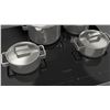 Image 2 : BNIB - Fulgor 24" 700 Series Glossy Black Electric Cooktop, RV: $1,219 - Model F7RT24S1