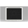 Image 3 : BNIB - Fulgor 36" Professional-Style Built-in Induction Rangetop, RV: $5,689 - Model F6IRT365S1